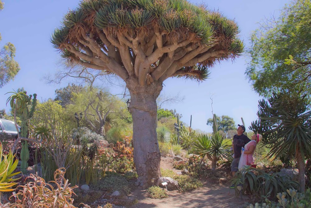 San Diego Botanic Garden