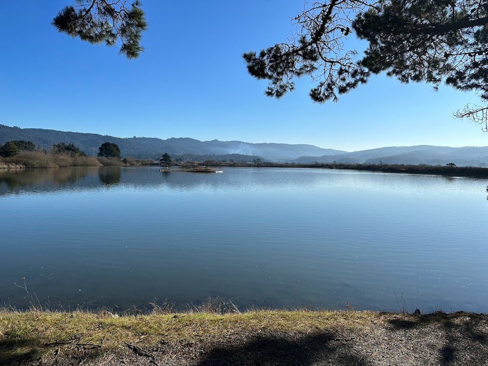 Arcata Marsh