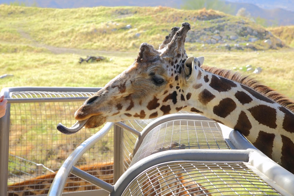 The Living Desert Zoo and Gardens