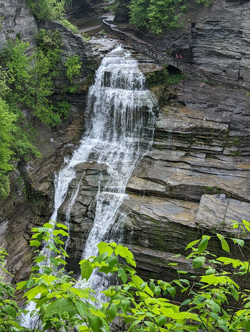 Robert H. Treman State Park