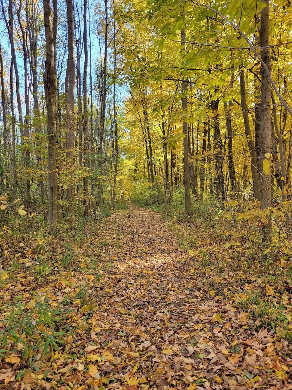 Skaneateles Conservation Area