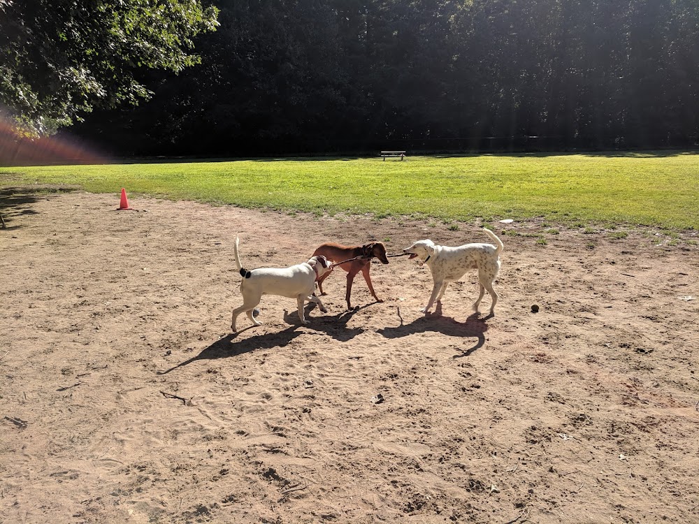 Saratoga Springs Dog Park