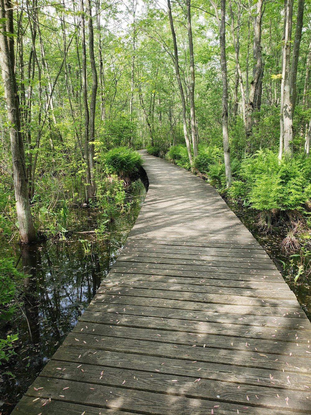 Beaver Lake Nature Center