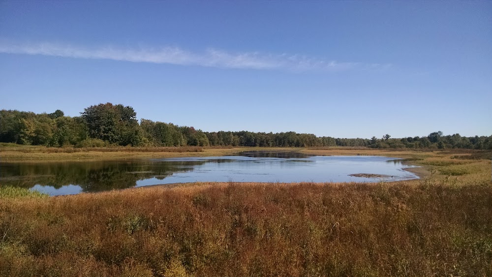 Three Rivers Wildlife Management Area