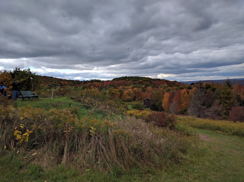 Franklin Mountain Hawkwatch