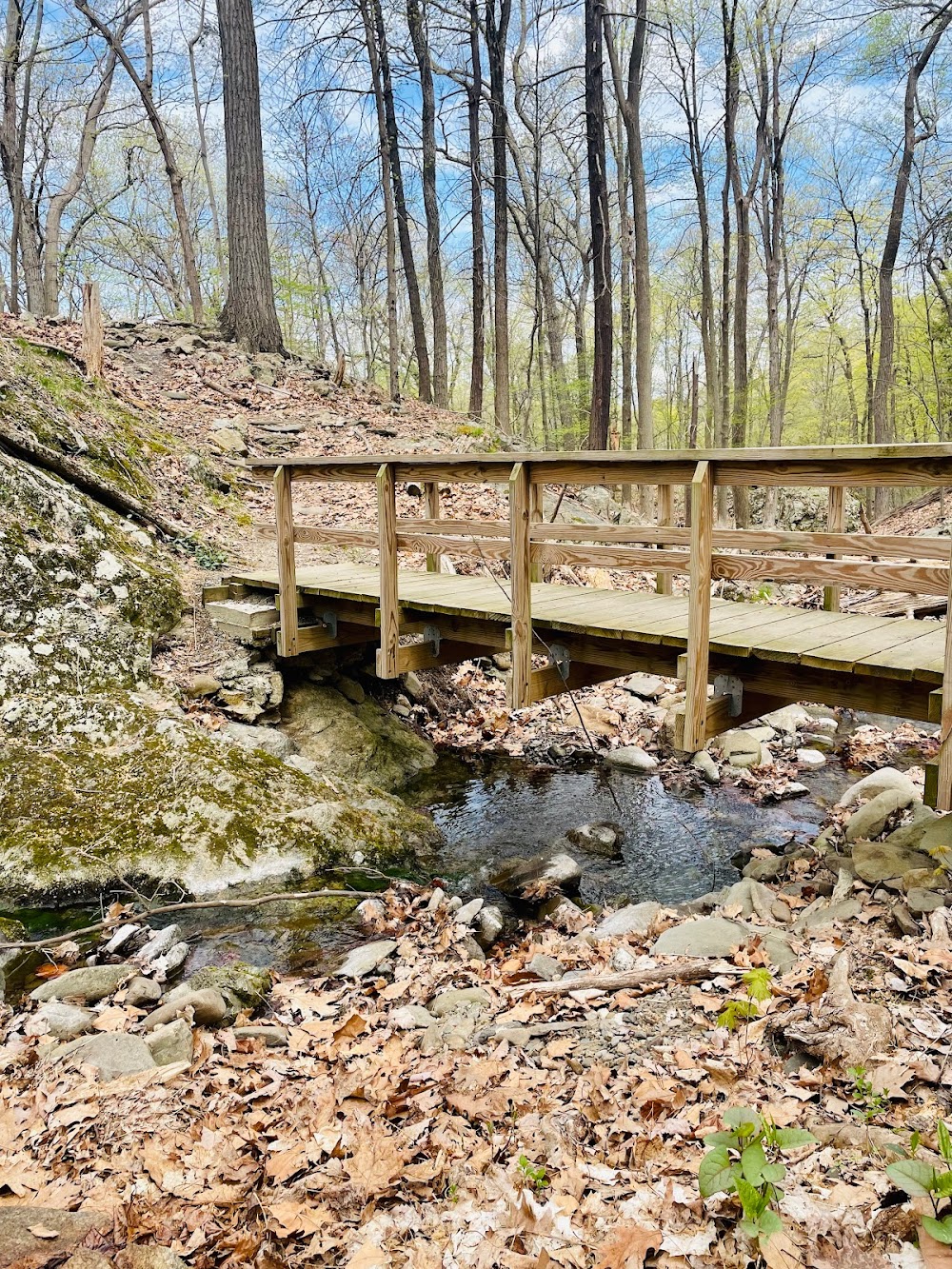 Hudson Highlands Nature Museum Wildlife Education Center