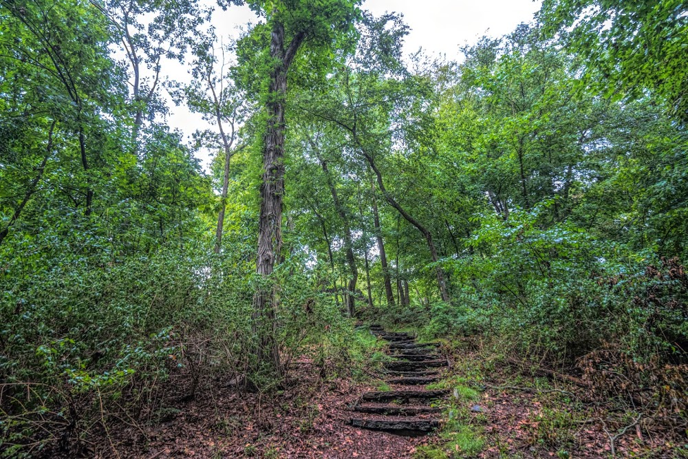 Rye Nature Center