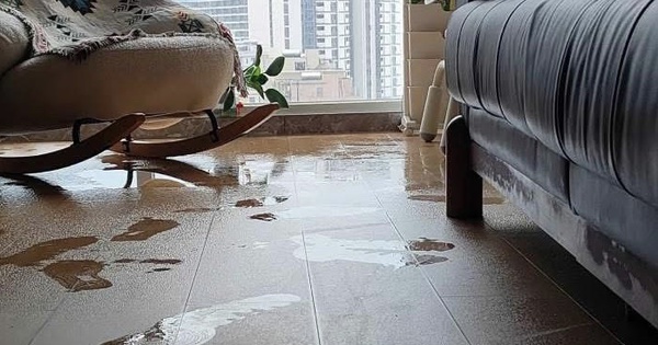 Nồm ẩm sau Tết ở miền Bắc: Cách giữ nhà khô ráo, hạn chế nấm mốc