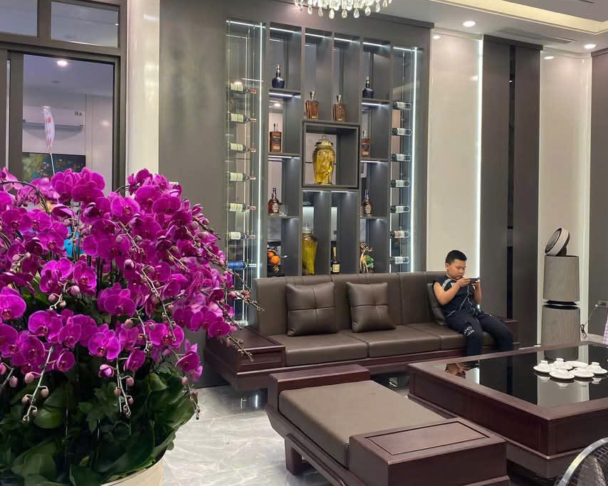Có nên làm vách ngăn thông minh cho phòng khách?- Ảnh 3.