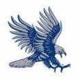 Dickinson State University logo