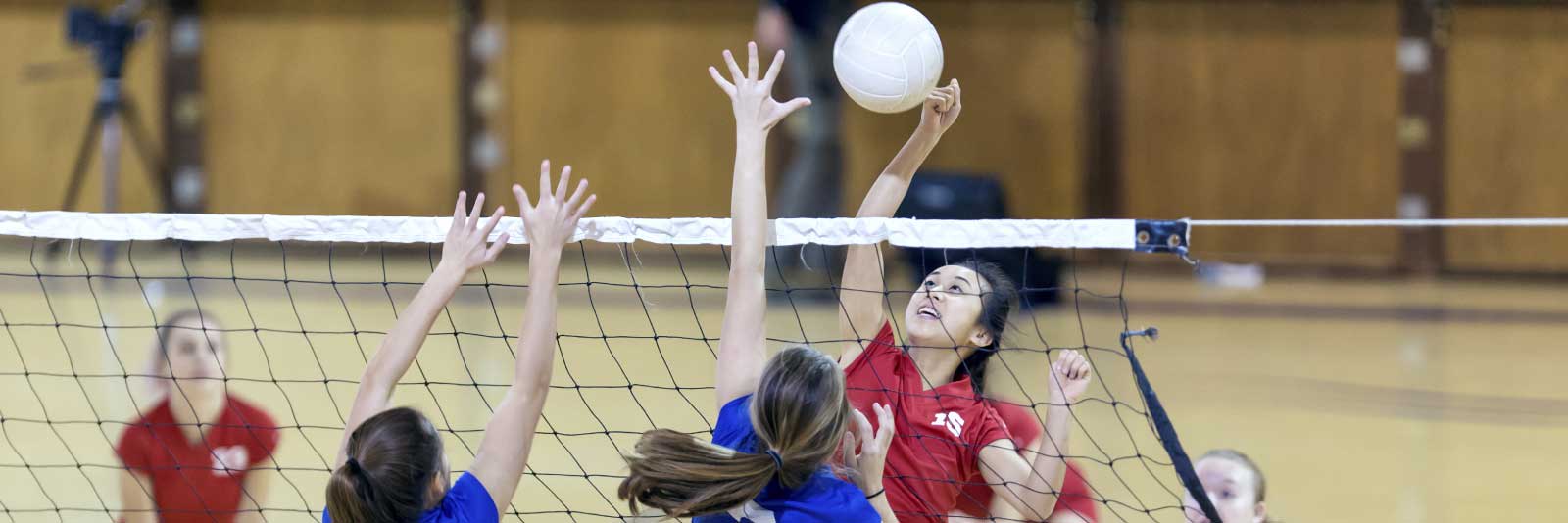 Volleyball players at the net