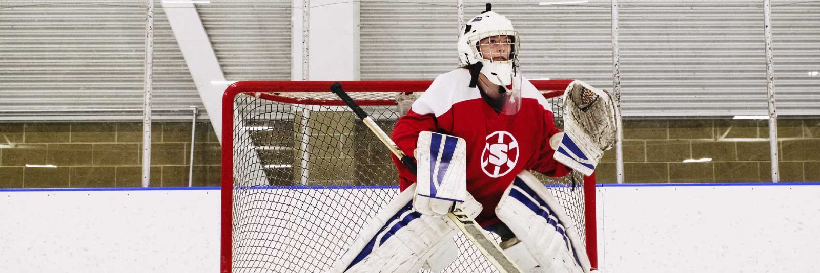 Hockey goalie