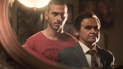 Papagaios