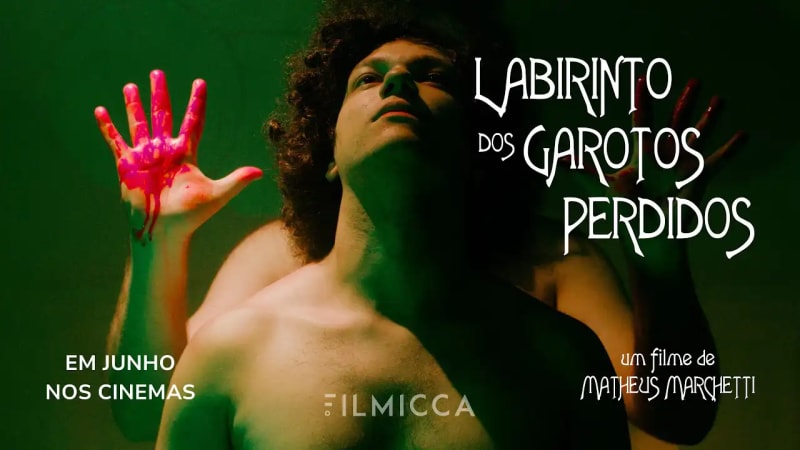 Labirinto Dos Garotos Perdidos