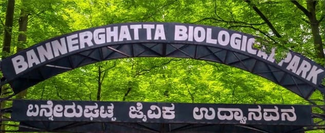 Bannerghatta Biological Park wildlife safari near Bengaluru in Bengaluru