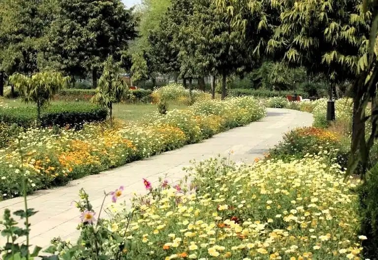 Swarna Jayanti Park in Delhi