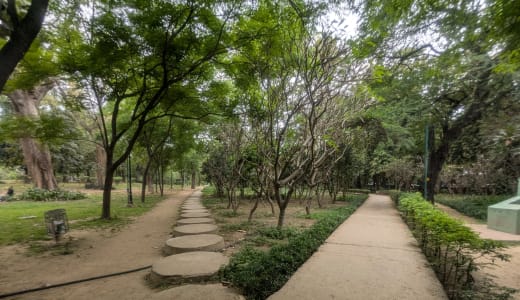 Lodhi Garden in Delhi