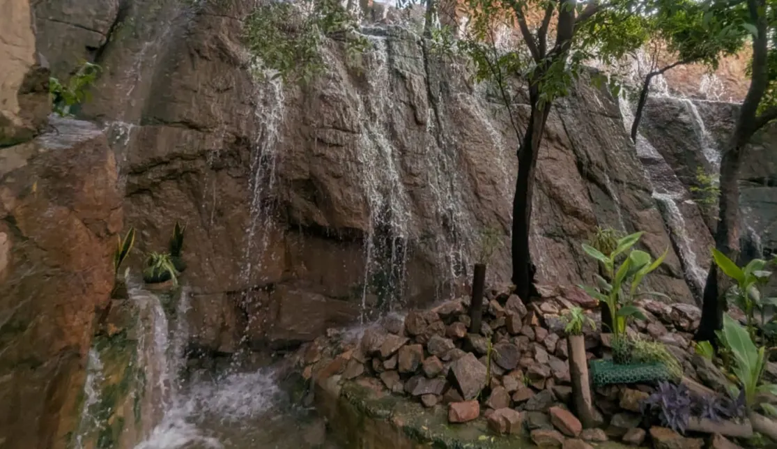 Sanjay Van, South Delhi – Delhi, India