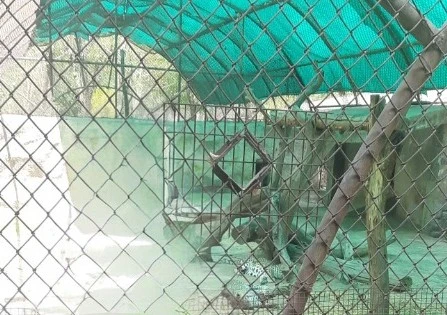 National Zoological Park (Delhi Zoo) – Delhi, India