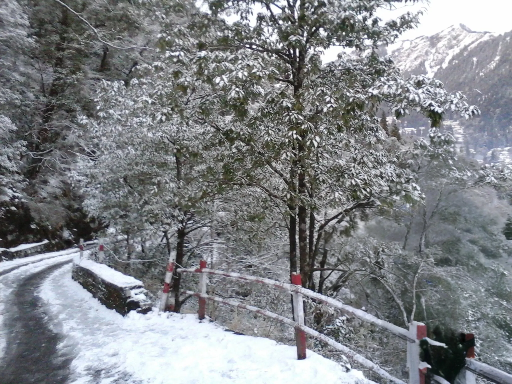 Nainital — travel