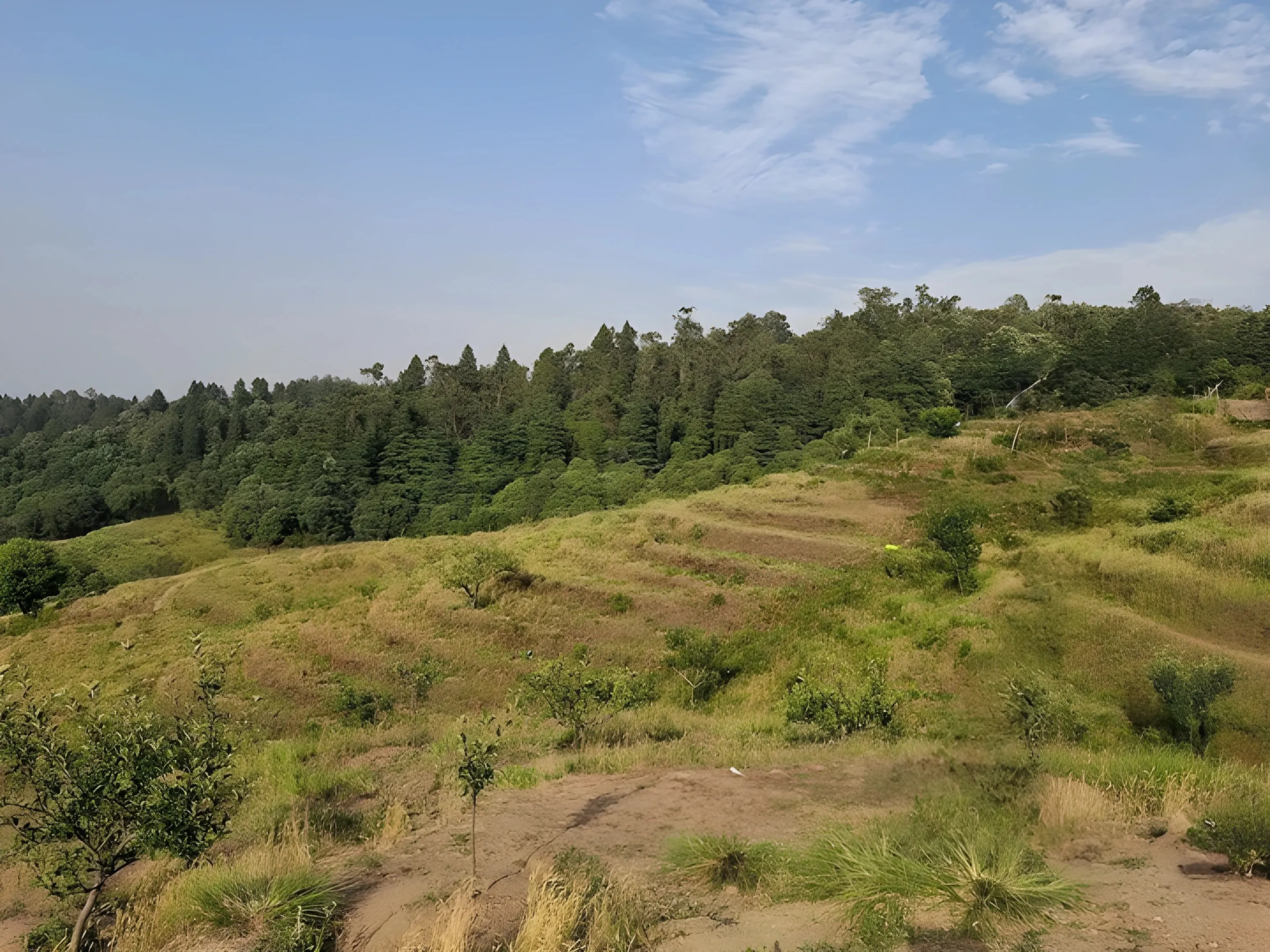 Chaubatiya garde- Ranikhet
