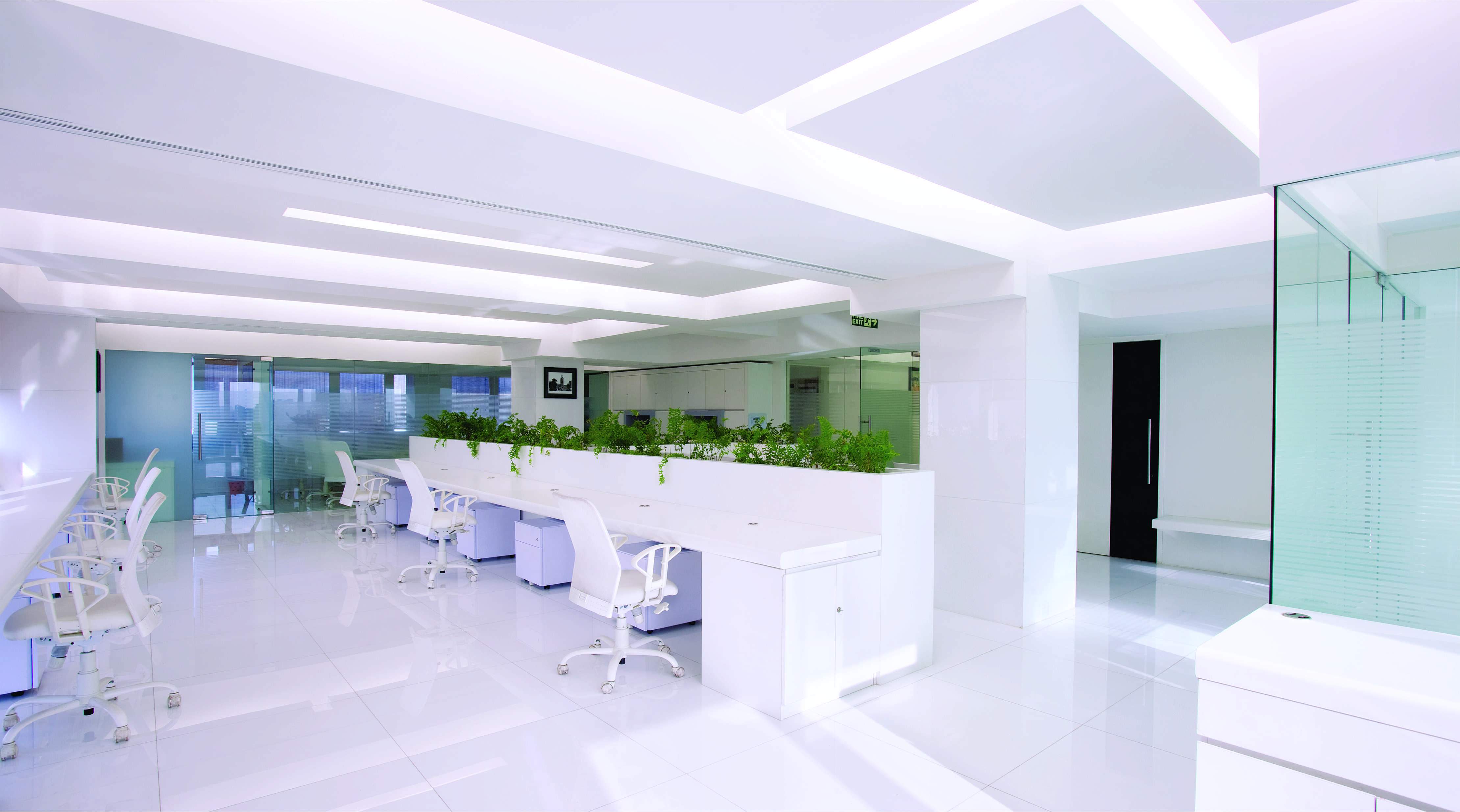 Consultant Details