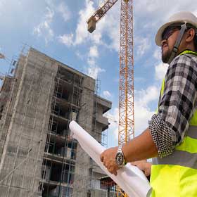Consultant Details