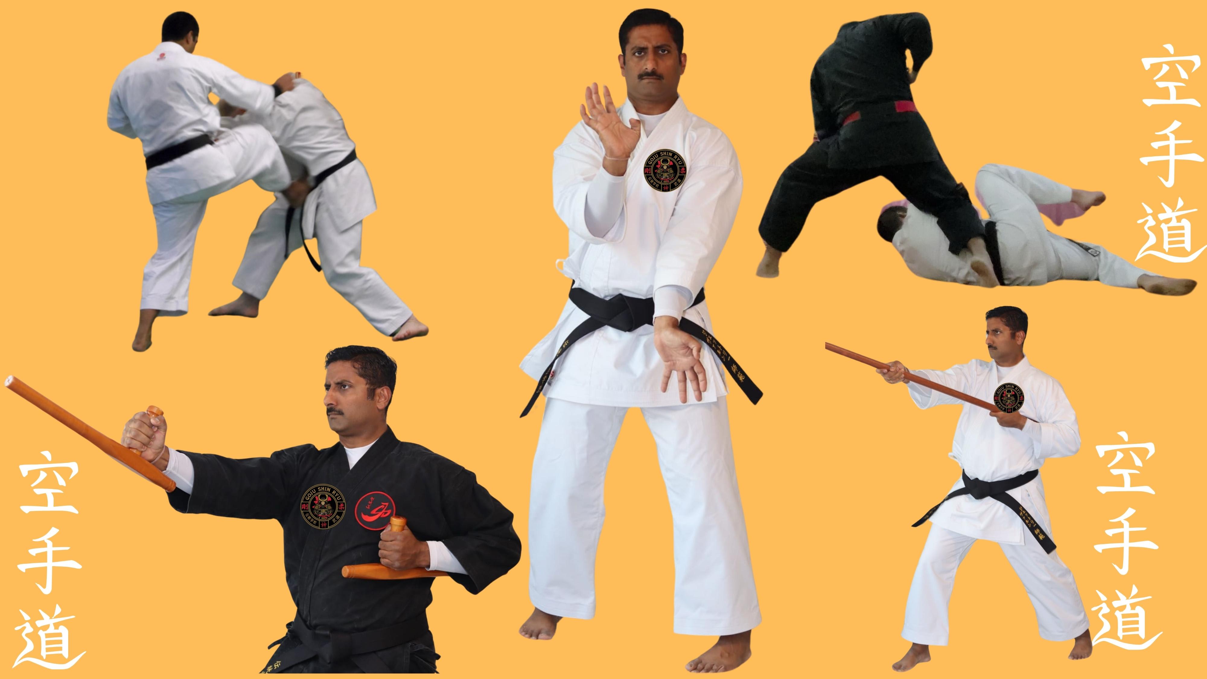 Gun Ryu Goju Shin Ryu – International School of Traditional Martial Arts | Canada