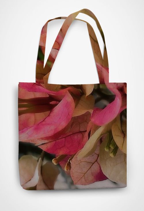 Bougainvillea 