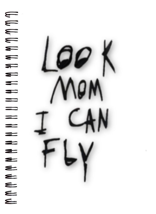 Look mom i can fly Poster for Sale by Loomes  Redbubble