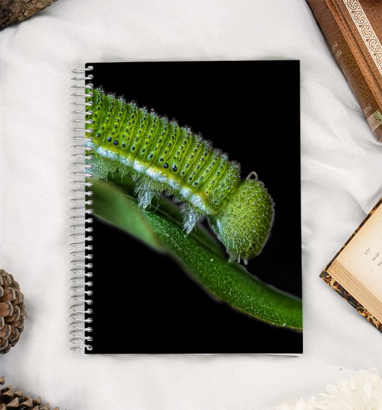 Bugs caterpillar  A5 Notebook