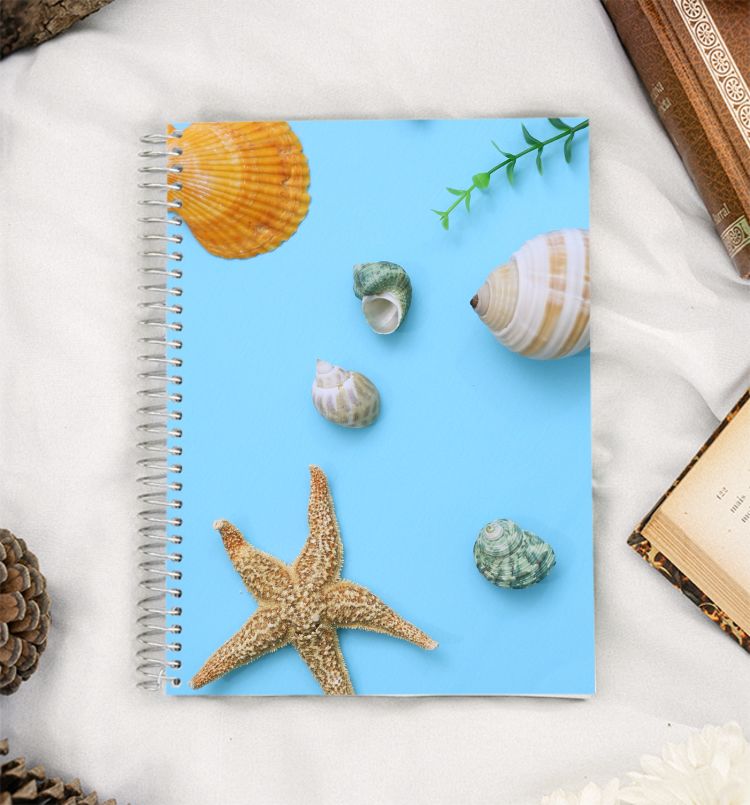 Sea Life 