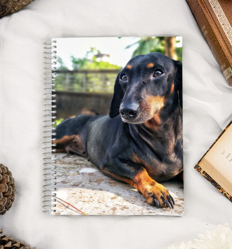 Dachshund portrait A5 Notebook