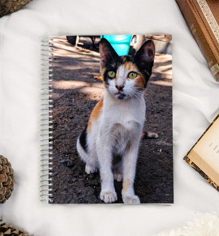 Calico Kitten A5 Notebook