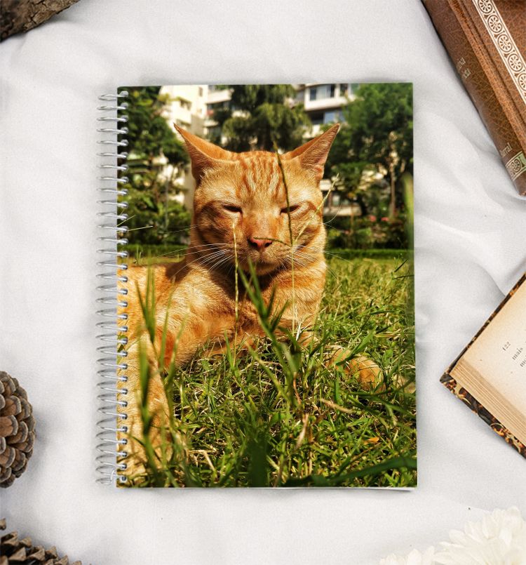 Grass & Ginger A5 Notebook