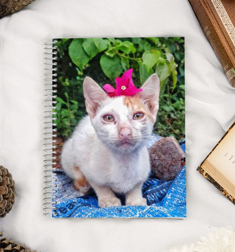 Bougainvillea Boy A5 Notebook