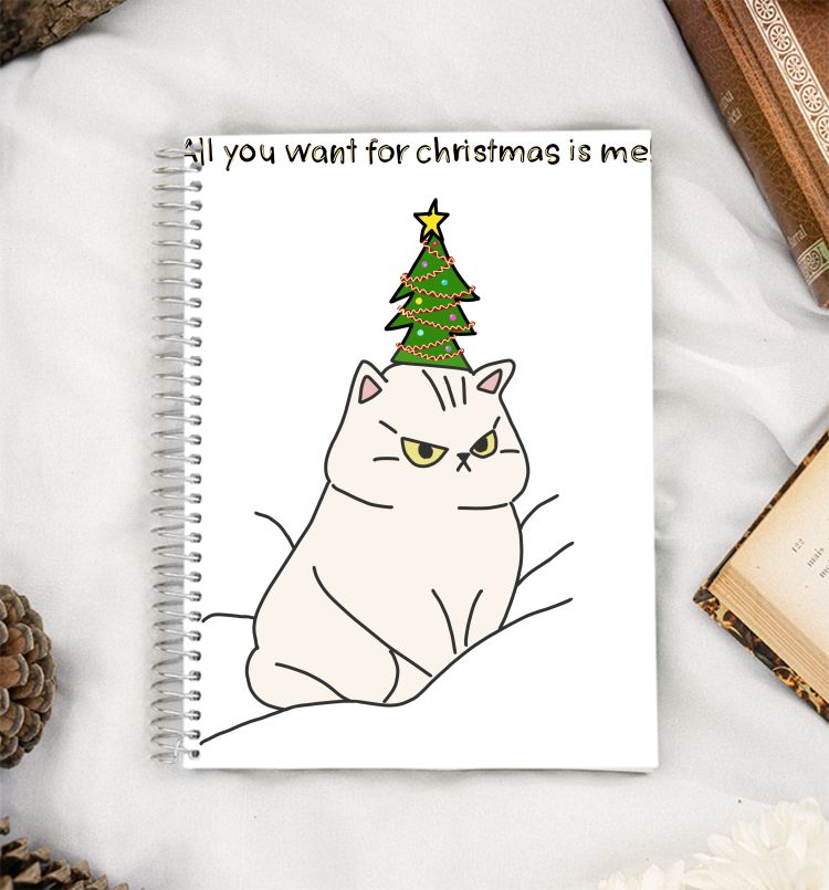 All you want for Christmas  A5 Notebook