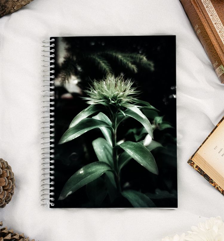 Magical Green A5 Notebook