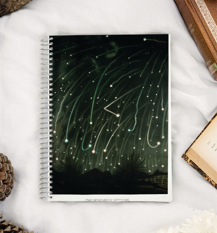 The November meteors  A5 Notebook