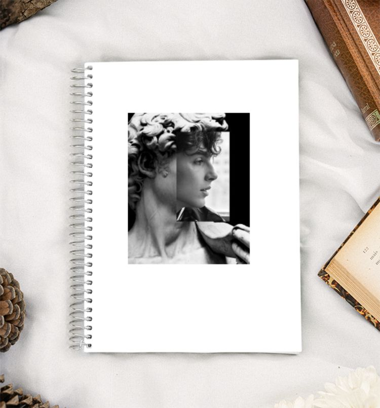 Greek God - Timothee Chalamet A5 Notebook