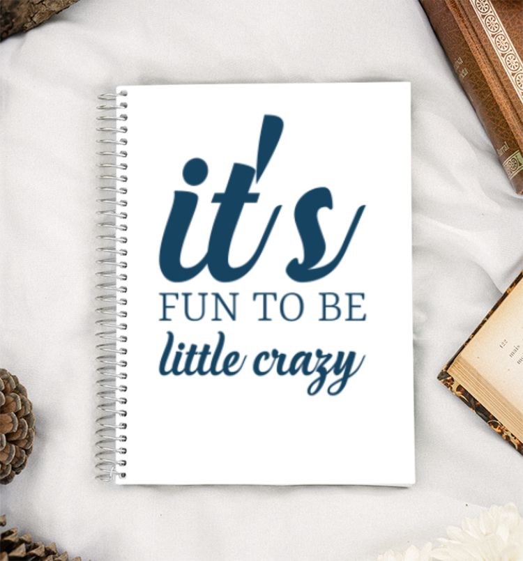 It's Fun To Be Crazy A5 Notebook