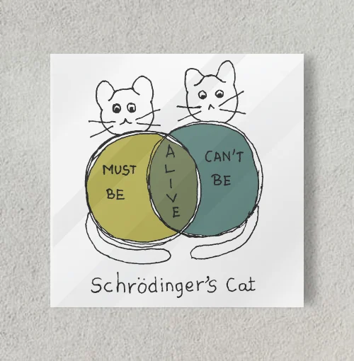 Schrodinger's Cat 8" x 8" Acrylic Poster