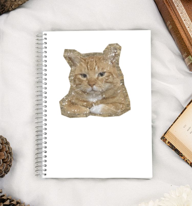 Mean Cat A5 Notebook