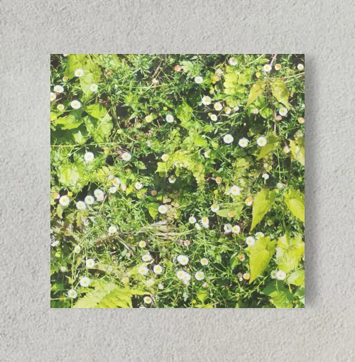 KERALA  GREENS 8" x 8" Acrylic Poster