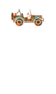 Camo