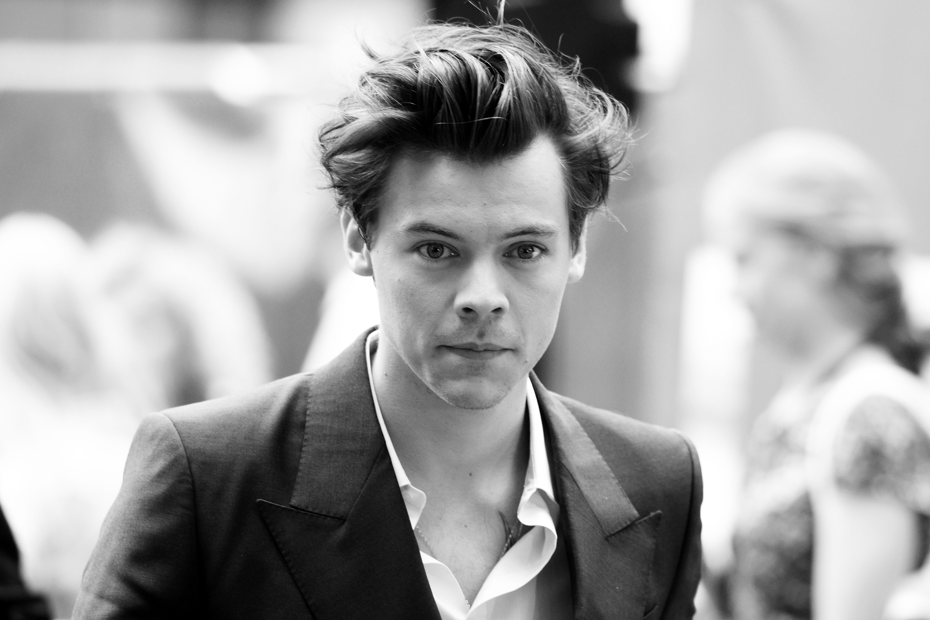 Harry Styles Black and White. - Frankly Wearing