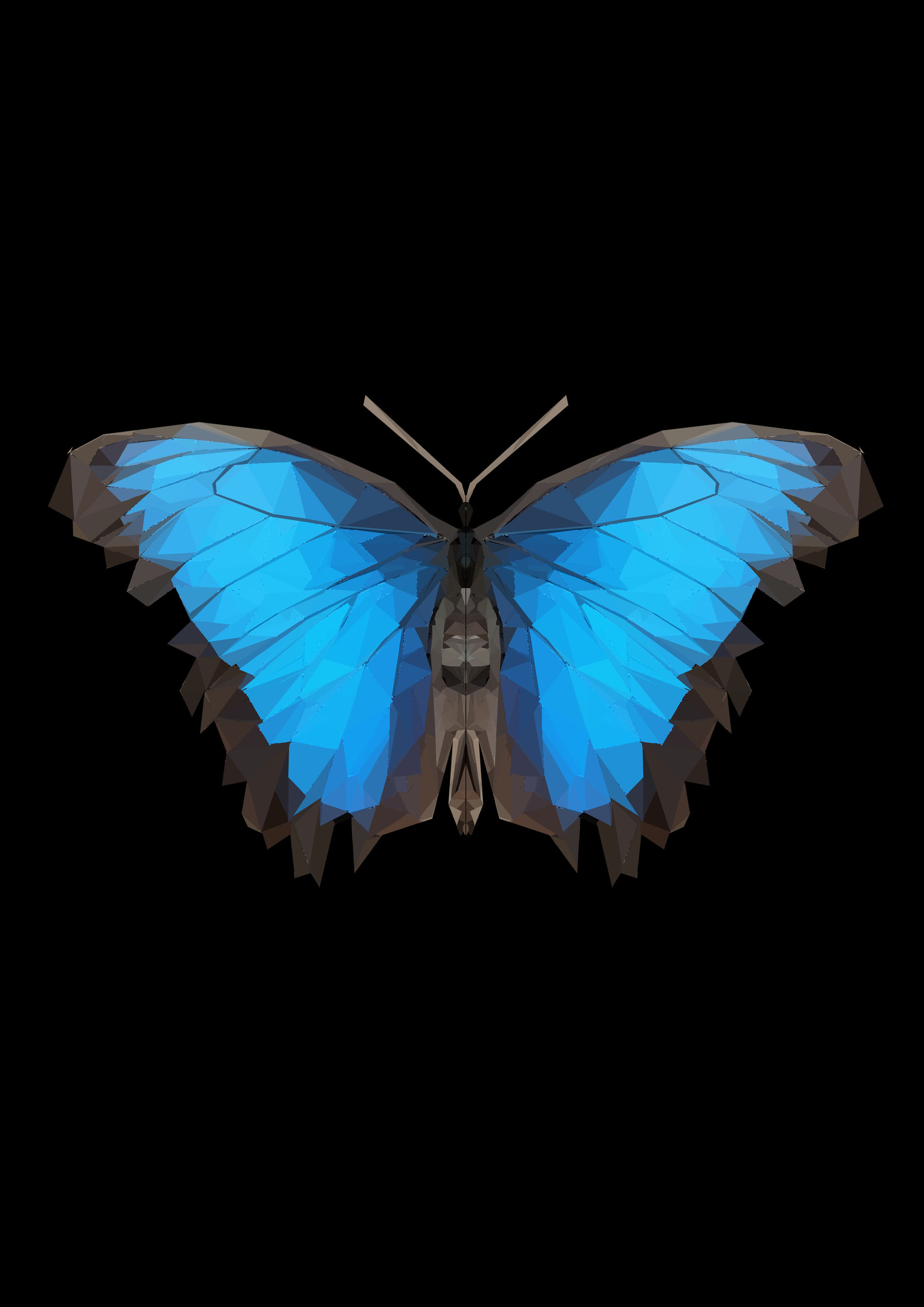 blue butterfly (black background) - Frankly Wearing