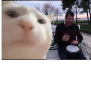 Vibing Cat Meme Frankly Wearing