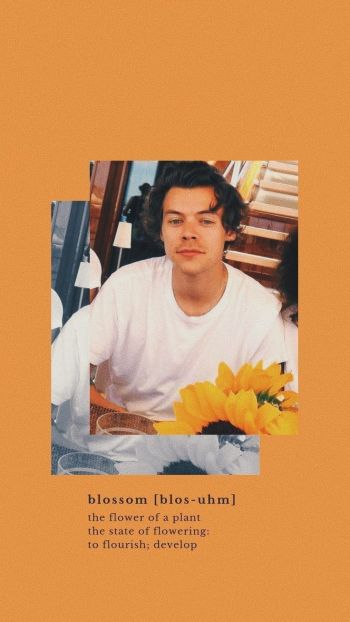 Harry Styles poster  A3 Poster