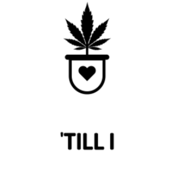 High 'Till I Die - Weed A3 Poster